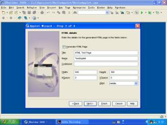 用jbuilder 2005开发java applet应用（图十）